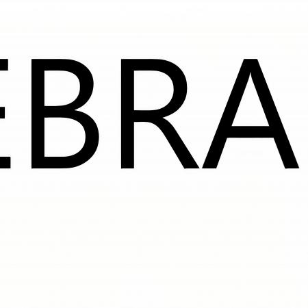 Logo Ebrains Italy Project